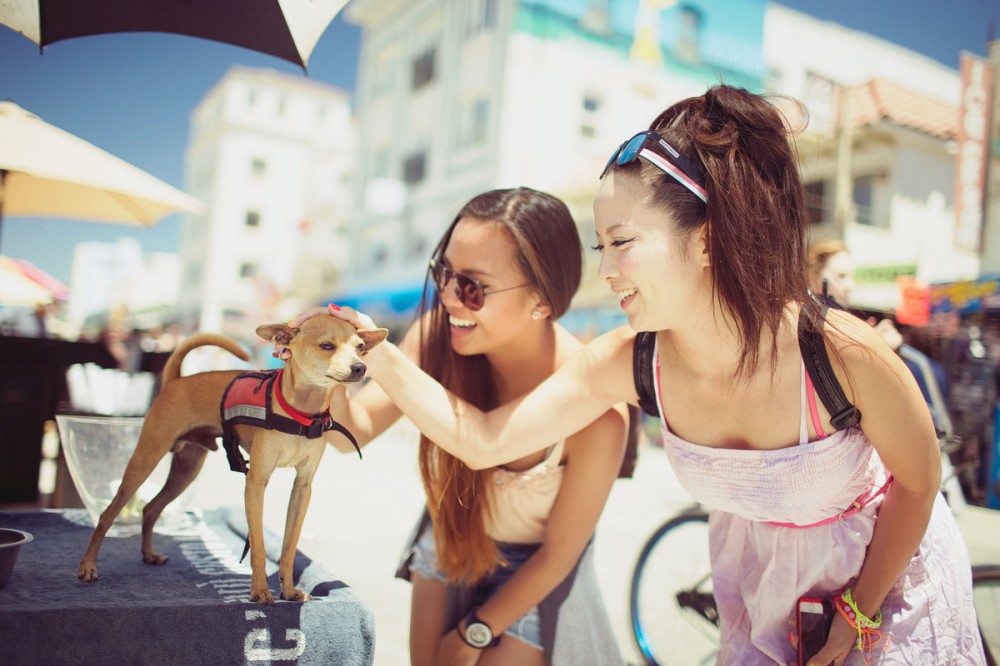 immersion anglais Los Angeles immersion totale Los Angeles